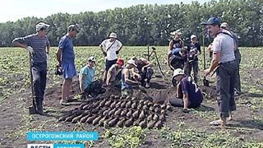 В Острогожском районе собралось около десятка поисковых отрядов со всей страны