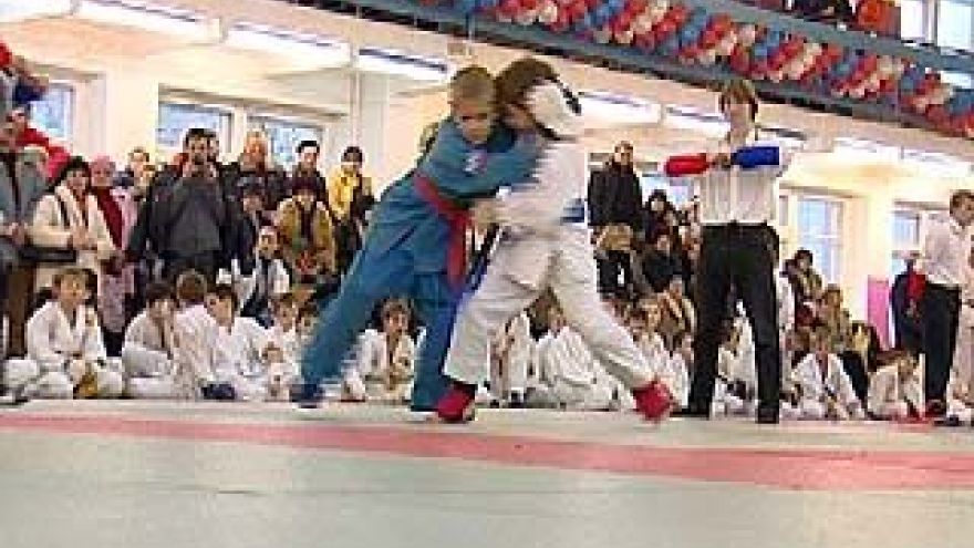 Воронежские спортсмены отправятся на Международный фестиваль джиу-джитсу