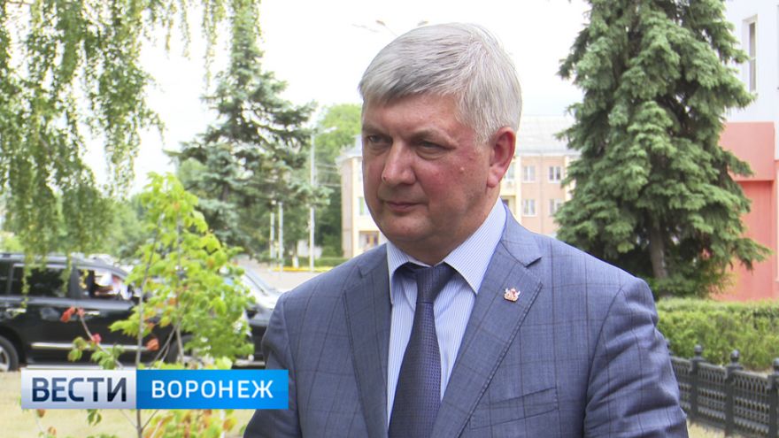 Глава Воронежской области прокомментировал слухи о незаконных премиях дирекции Платоновфеста