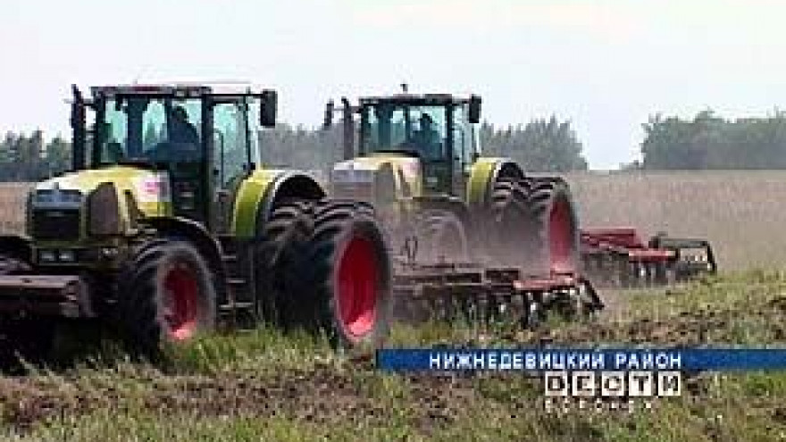 Поля Нижнедевицкого района планируется засеять озимыми