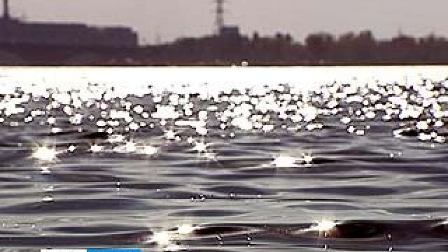 Областные экологи не оставляют надежду преобразовать Воронежское водохранилище