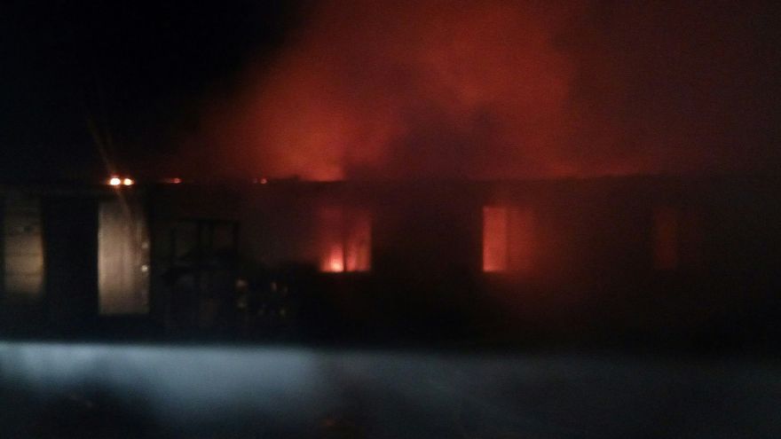 В Воронежской области при пожаре в собачьем приюте погибло более 50 щенков