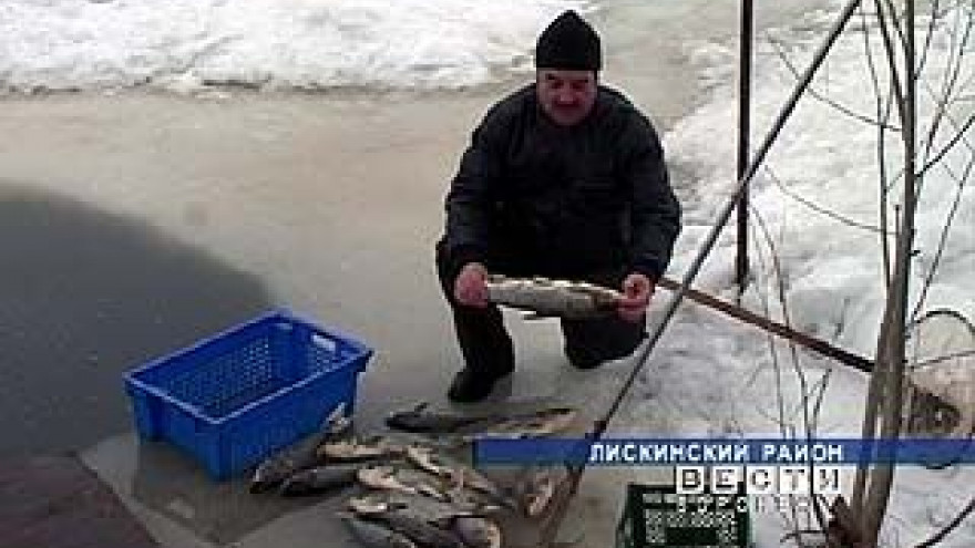 Давыдовский овощесушильный завод в поле зрения природоохранной прокуратуры