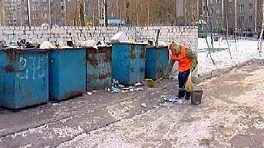 Воронеж может остаться без дворников