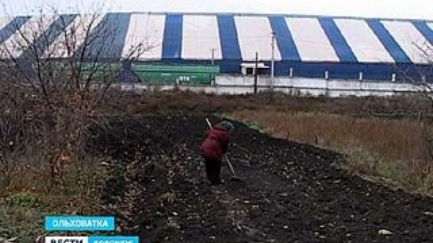 Ольховатские огороды, затопленные патокой, не подлежат возделыванию