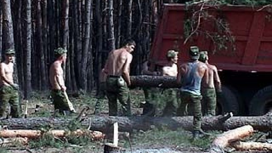 Городские власти создают вокруг воронежских больниц безопасную зону