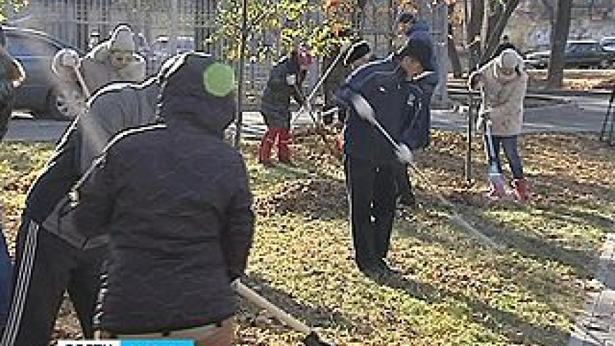 На уборку в Воронеже и области вышли более 150 тысяч человек