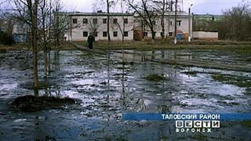 Таловская служба ЖКХ не реагирует на жалобы населения