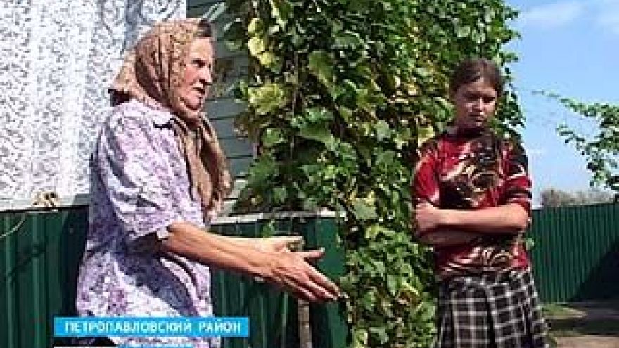Семья Шиловых из Петропавловского района не пускает своих детей в школу