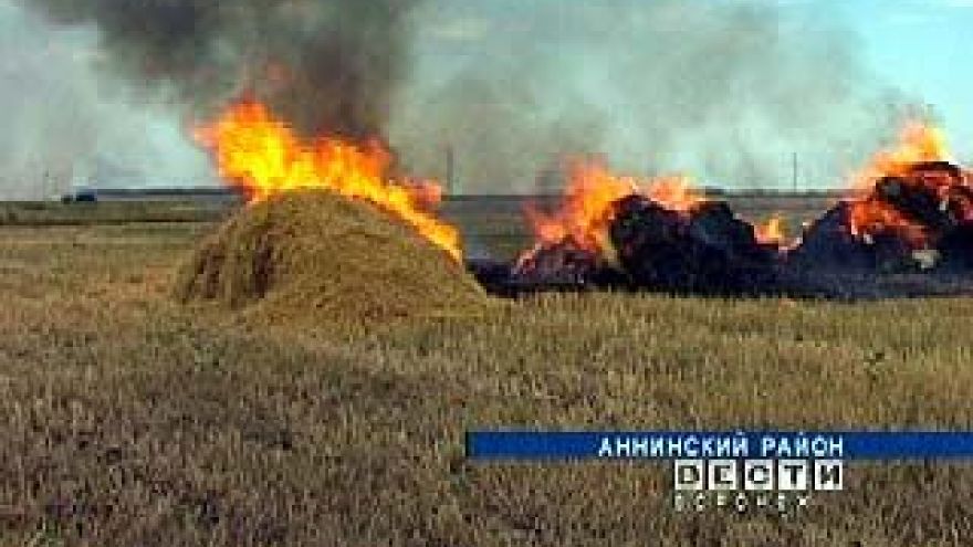 Хозяйства Воронежской области продолжают сжигать стерню