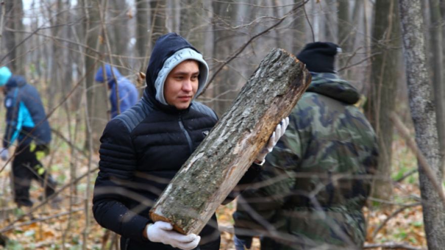 В окрестностях Воронежа очистят от сухостоя 3 тыс. гектаров леса