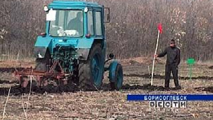В Борисоглебске прошла олимпиада профессионального мастерства студентов