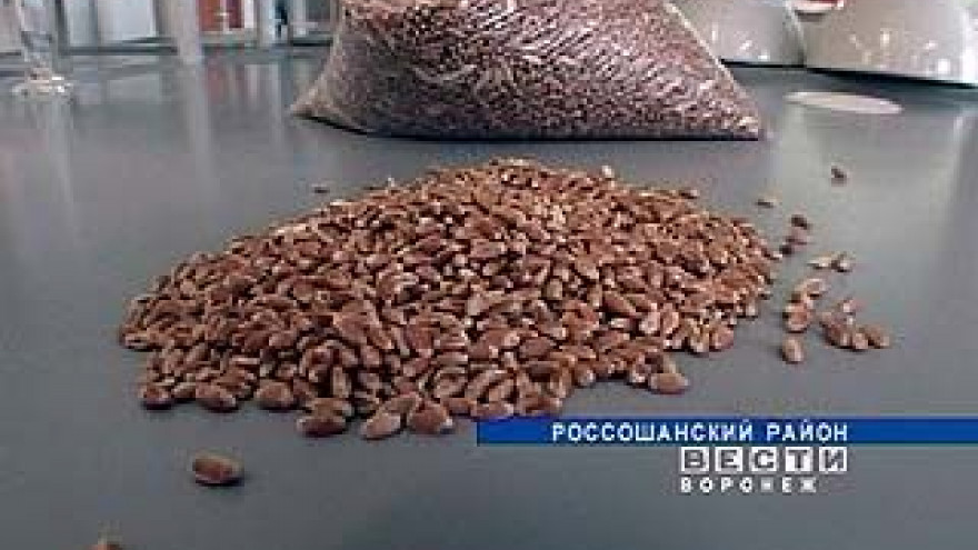 В Воронежской области заканчивается уборка зерновых