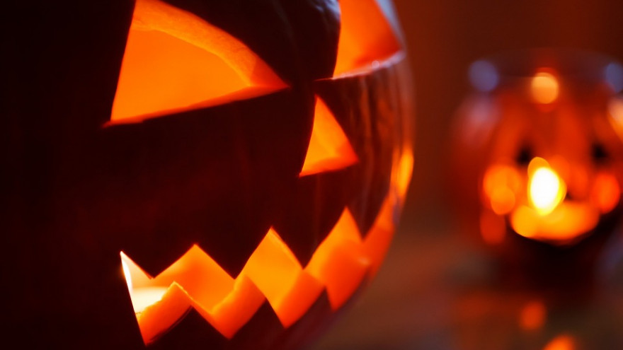 Воронежцев позвали на Halloween Party в демократичный паб