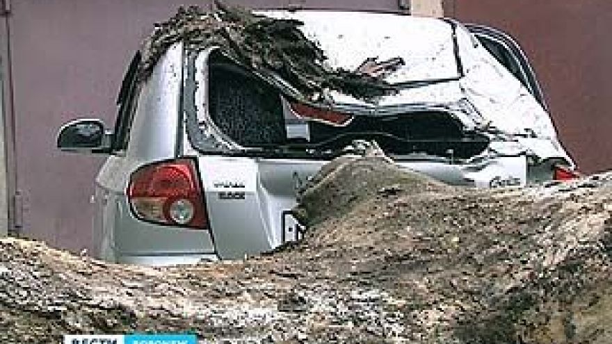 В центре Воронежа на машину упало гнилое дерево