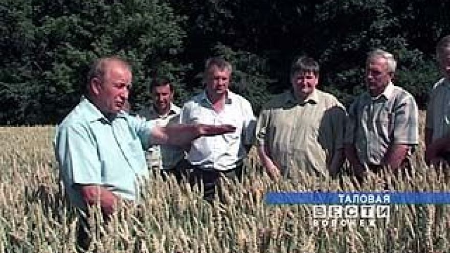В трех районах области стартовала уборка зерновых