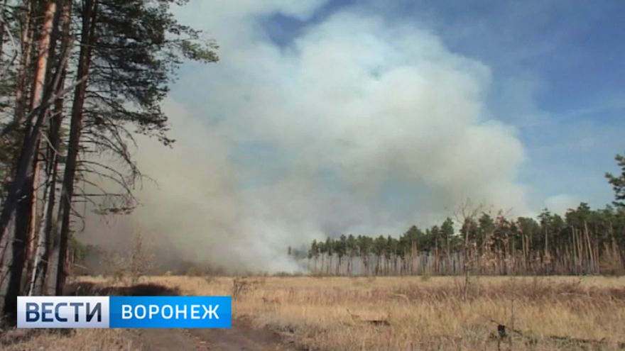 В Воронежской области из-за дождей снизился класс пожарной опасности