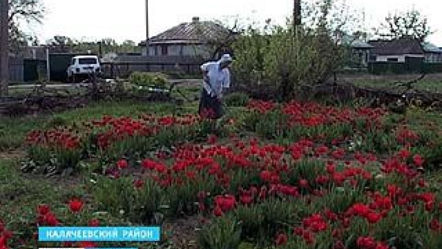 Жительница села Ширяево Калачеевского района поздравляет всех с праздником Победы