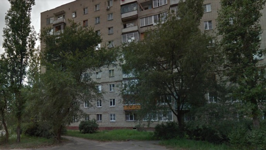В квартире на Левом берегу Воронежа у домашнего питомца нашли бешенство