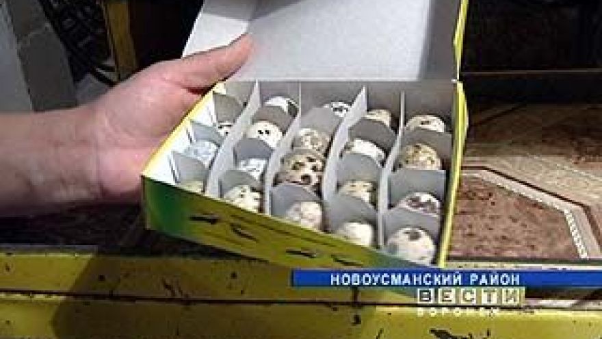 Птицефабрики региона обвиняются в сговоре и недобросовестной конкуренции