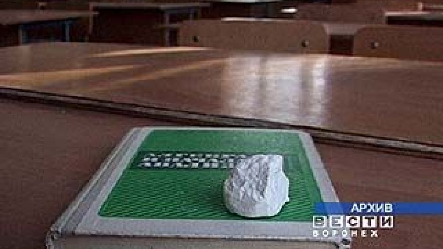 В воронежских школах отменены занятия