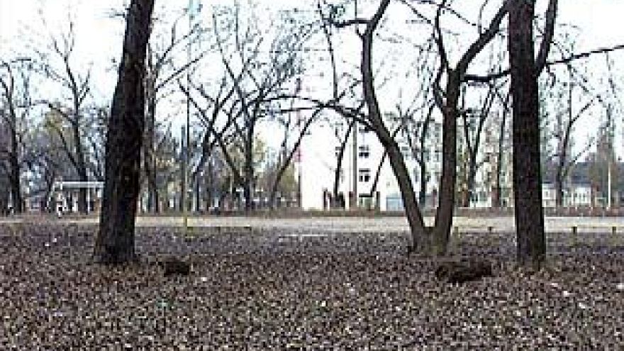 В "козлиным" парке свидетели Иеговы хотят построить дом молитвы