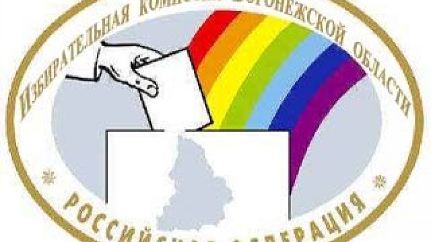 В воронежский избирком поступает огромное количество жалоб