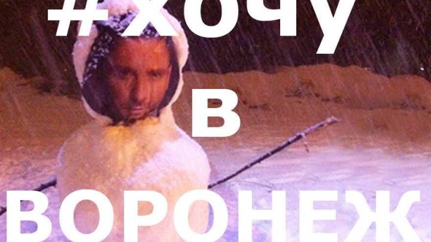 37 снеговиков воронежцев из соцсетей за неделю