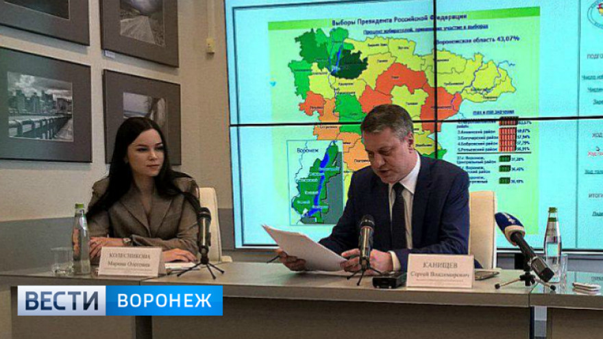 Избирком рассказал о жалобах в день выборов в Воронежской области
