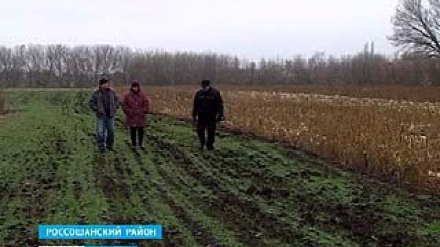 На благоустроенные земли россошанских фермеров претендентов все больше