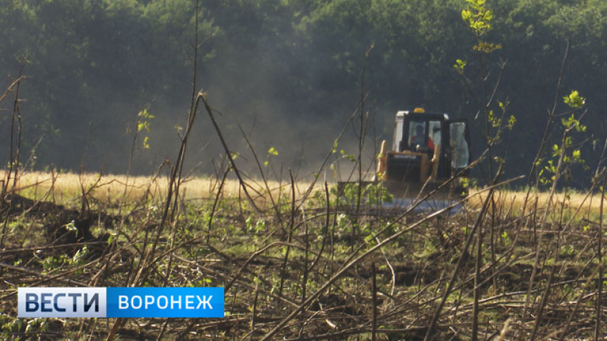 Воронежский фермер ответит в суде за угодившее под ковш бульдозера древнее городище