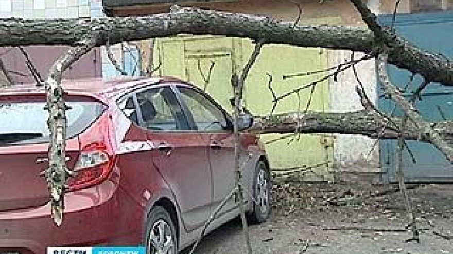 В Воронеже подсчитывают убытки после минувшей ветряной ночи