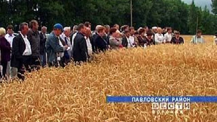 В Поворинском районе пройдет семинар агрономов