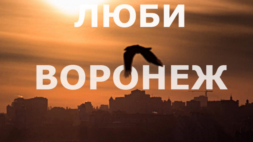 Самые интересные снимки воронежцев за неделю