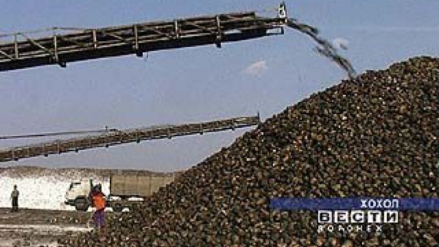 В области приступили к уборке сахарной свёклы