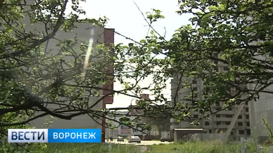 Дело о хищении 70 гектаров воронежского яблоневого сада рассмотрят в суде