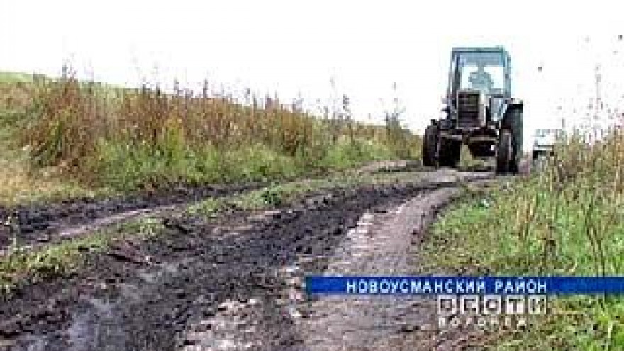 Новоусманский фермер вынужден "воевать" за проезд к своему хозяйству