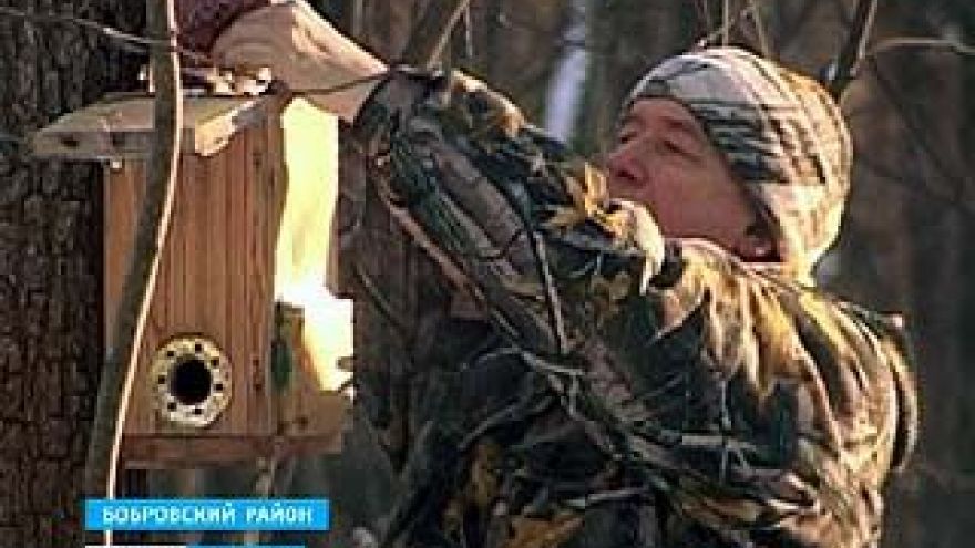 В Бобровском районе орнитолог уже 5 лет подкармливает птиц зимой
