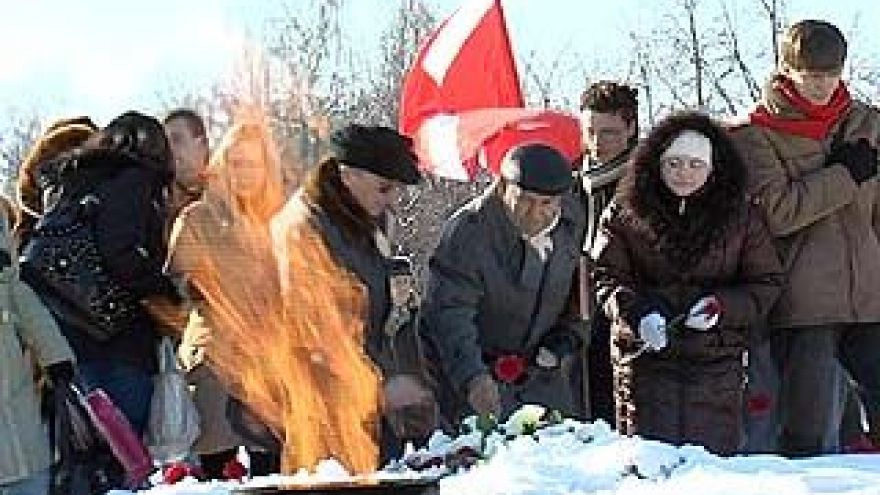 Воронежские "Наши" выступили в защиту памятника воину-освободителю в Таллинне
