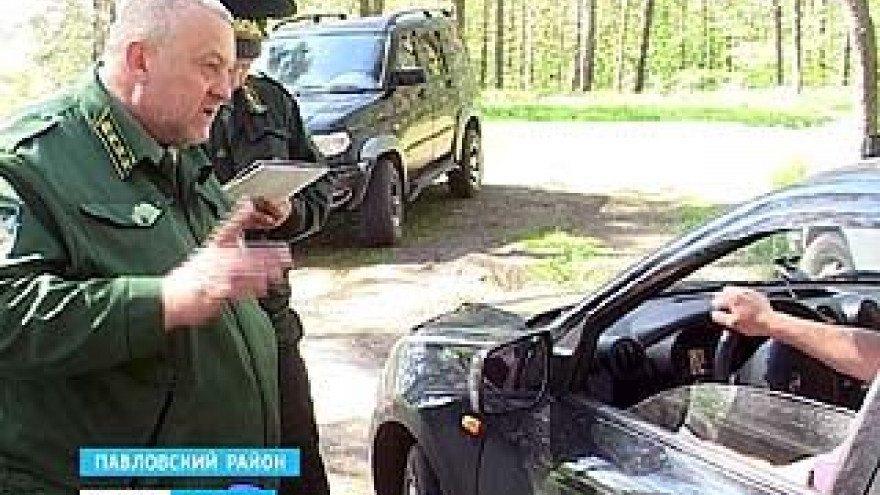 В регионе следят за ситуацией в лесах - как стараются не допустить пожаров?