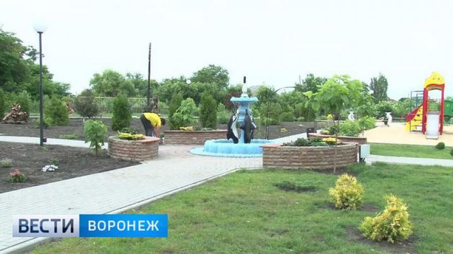 За благоустройство общественных пространств и президента воронежцы проголосуют в один день