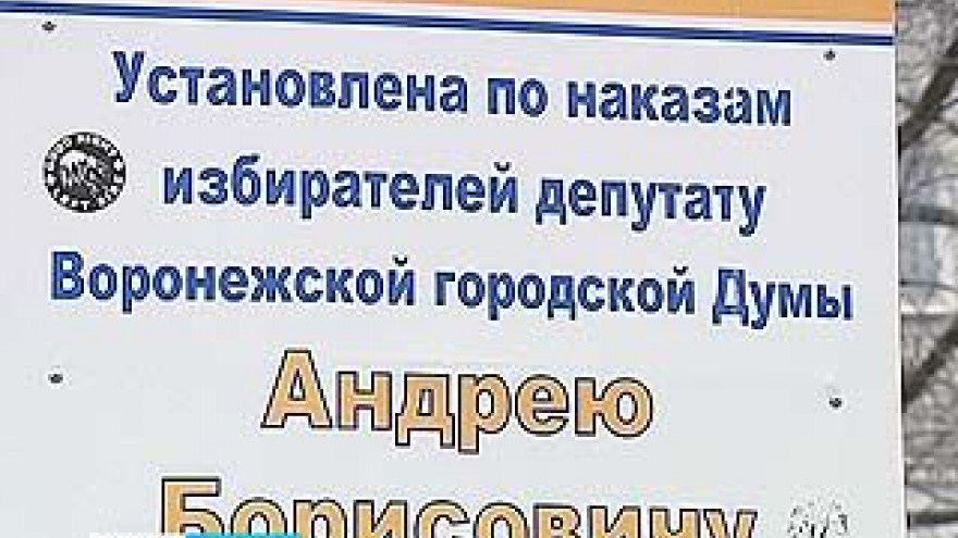 Своеобразный памятник одному воронежскому депутату появился в Воронеже
