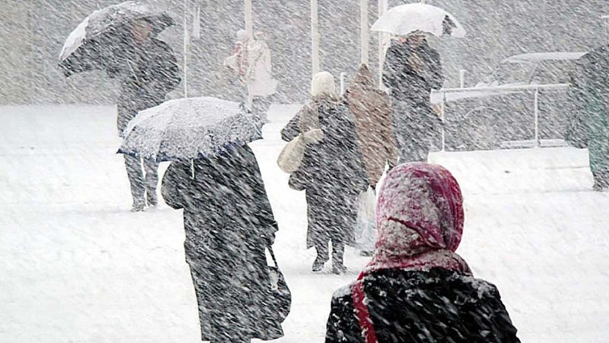 Жителей Воронежской области в выходные ждут метель и дождь