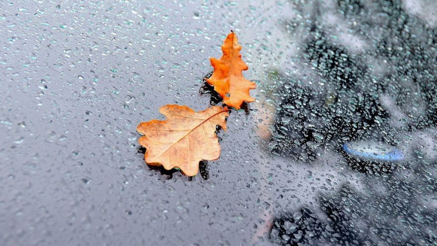 Прогноз погоды на 20.11.17