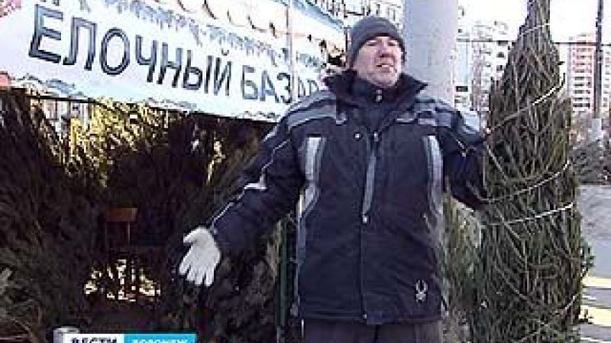 В Воронеже официально открылись специализированные елочные базары