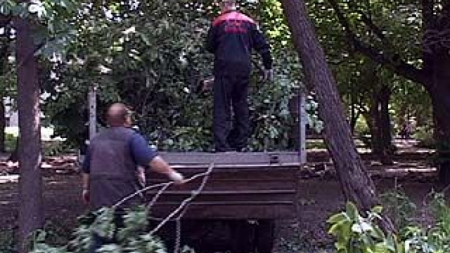 В сквере за Цирком началась полномасштабная реконструкция