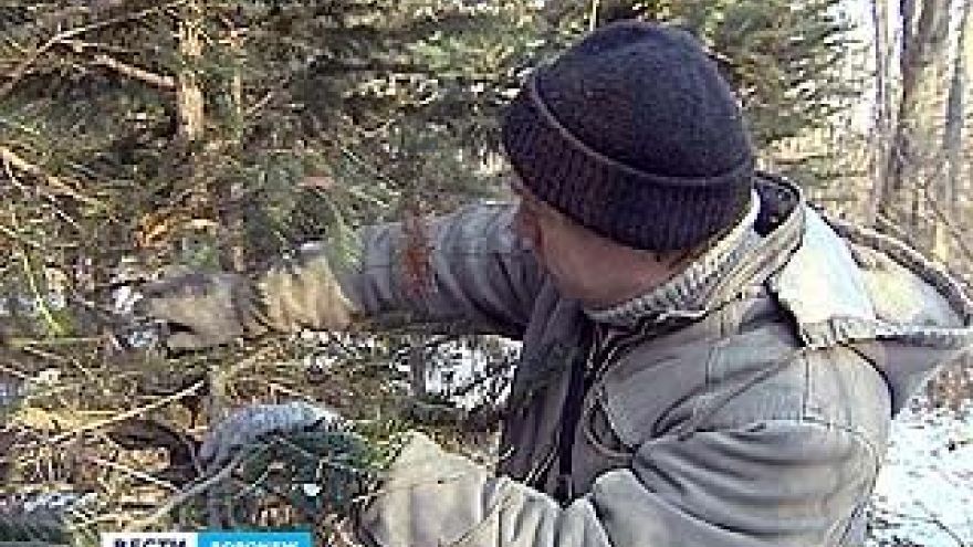 Воронежцы будут дежурить в дендрарии и в новогодний праздник
