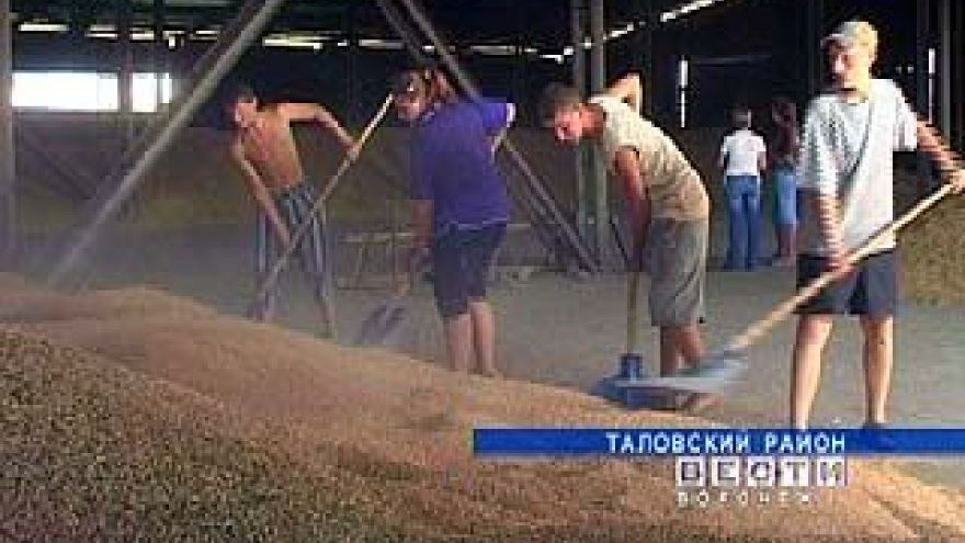 Уборочная кампания в Таловском районе близится к завершению