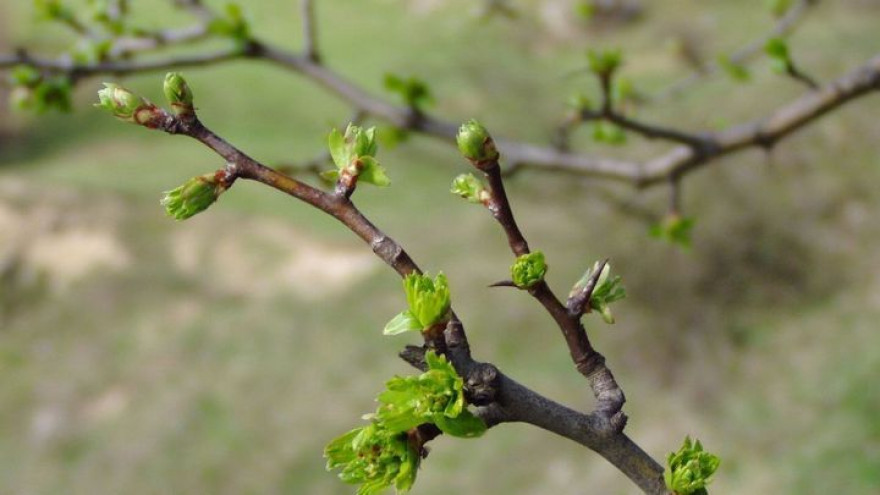 Прогноз погоды на 23.04.18