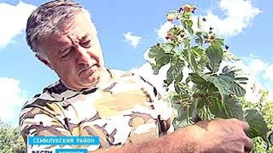 В Воронежской области подвели итоги конкурса "Начинающий фермер"